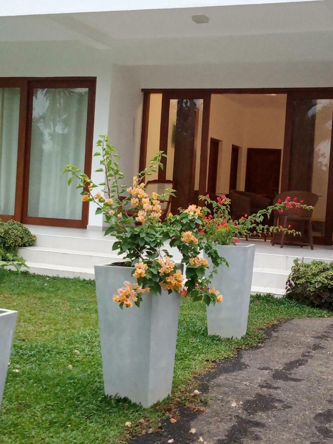 Colibri Villa Maggona Eksteriør billede
