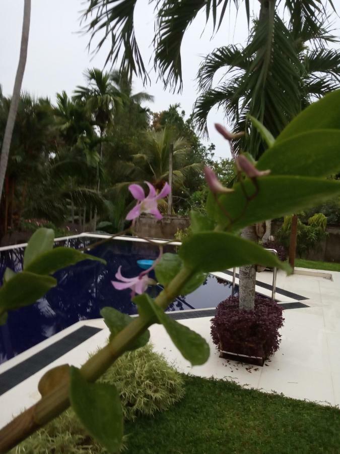 Colibri Villa Maggona Eksteriør billede